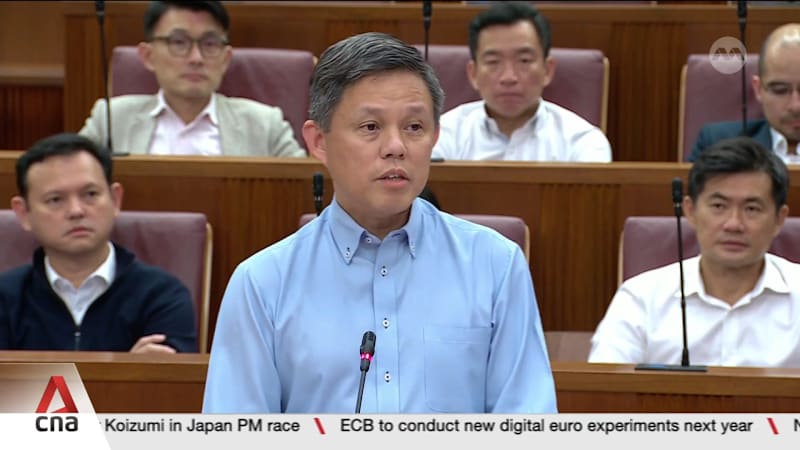 Singapore's ability to weather external shocks will hinge on unity at home: Chan Chun Sing