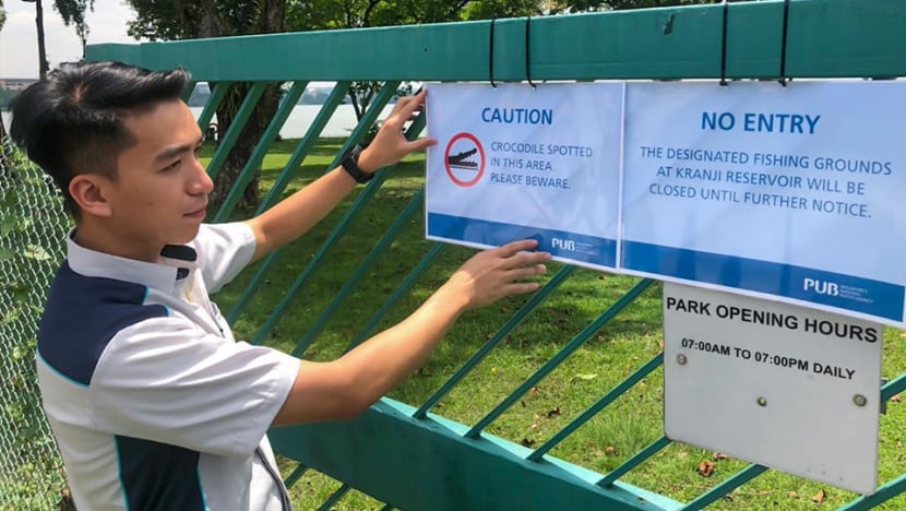 Buaya dilihat di Kolam Air Kranji