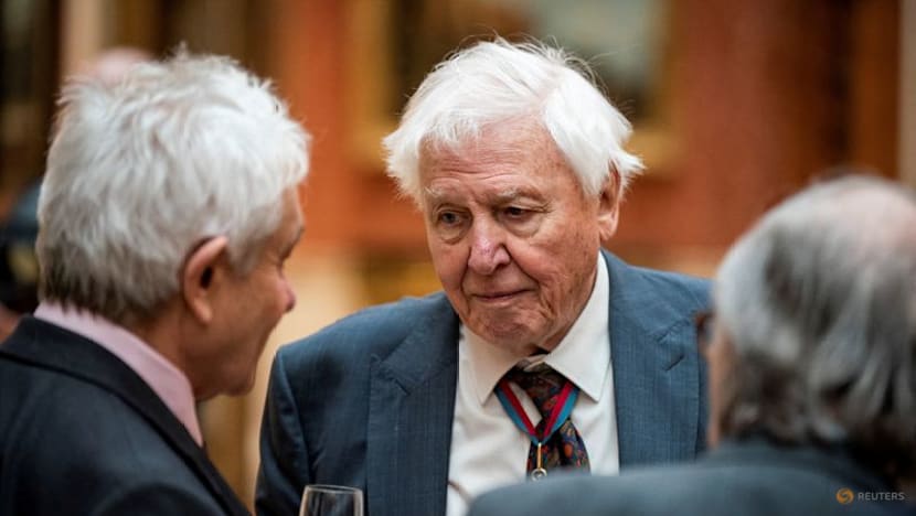 David Attenborough centenary celebrations start with closer look at 'Life on Earth'