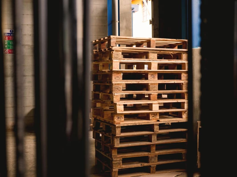 Jail for man who harboured grudge against colleague, threw 23kg wooden pallet at his head Jail for man who harboured grudge against colleague, threw 23kg wooden pallet at his head