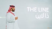 Saudi Arabia sits on fence over BRICS with eye on vital ties with US