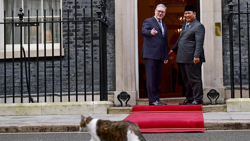 Prabowo ajak universitas elite Inggris buka kampus berstandar dunia di Indonesia