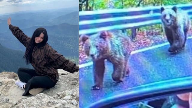 在男友面前被野熊拖走 罗马尼亚女子摔落悬崖死亡