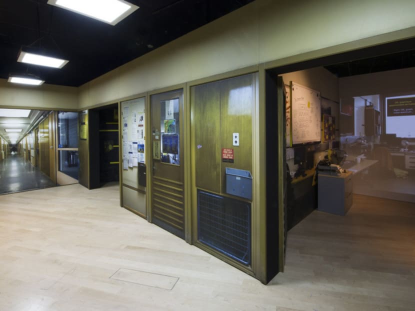 Art and science collide in award-winning exhibition