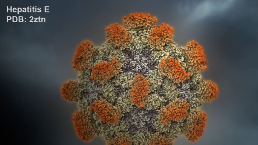 Food-borne hepatitis E virus targets unwary travellers