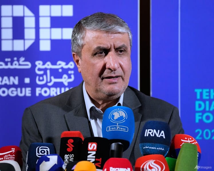 Iran nuclear chief blocked from Vienna meeting after US pressure Iran nuclear chief blocked from Vienna meeting after US pressure