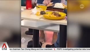 Rat infestations: More than 230 cases of lapses at F&B outlets in Singapore in 2025