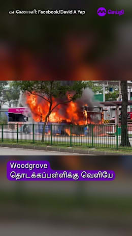 உட்லண்ட்ஸில்