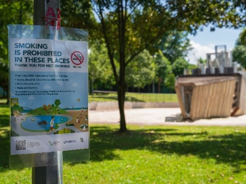 FAQ: Singapore extends smoking ban to public parks and beaches from July - what you need to know