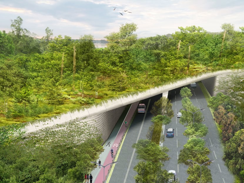 An artist's impression of the Mandai Wildlife Bridge, which allows animals to cross over Mandai Lake Road safely.
