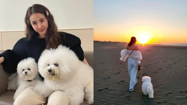 18岁爱犬离世　蔡依林痛别：妈咪还想紧紧抱着你