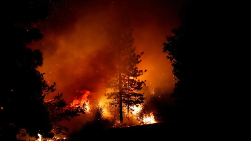 Kebakaran hutan di California terus marak