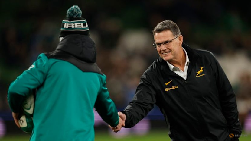 Erasmus pleased to get Irish monkey off South Africa's back