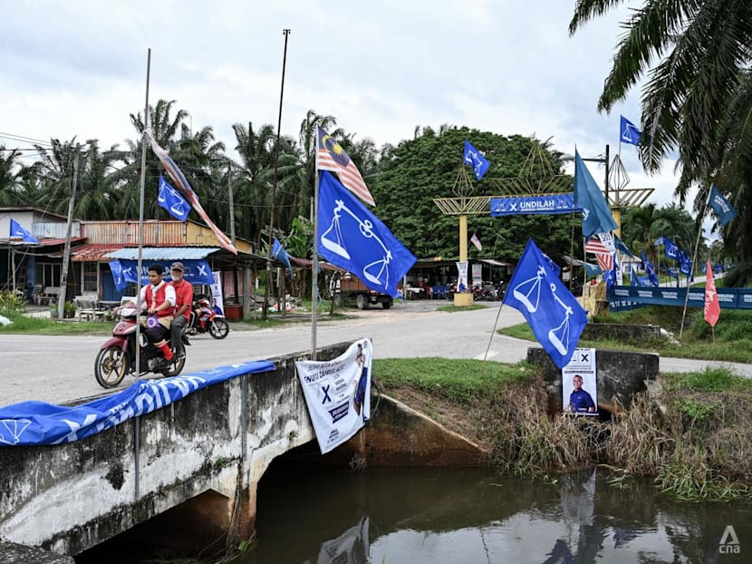 Malaysia GE15: BN sets its sights on PH stronghold Selangor with younger politicians leading the charge