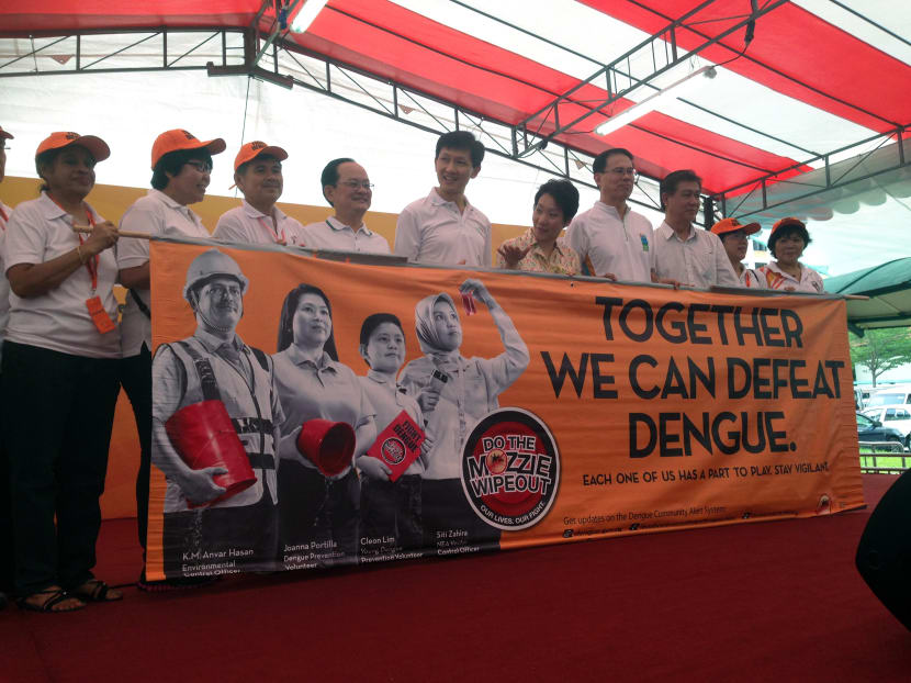 The National Environment Agency is considering the use of biological control methods to limit the spread of dengue, by infecting male Aedes mosquitoes with a type of bacteria that results in females producing eggs that do not hatch. Photo: Amanda Lee