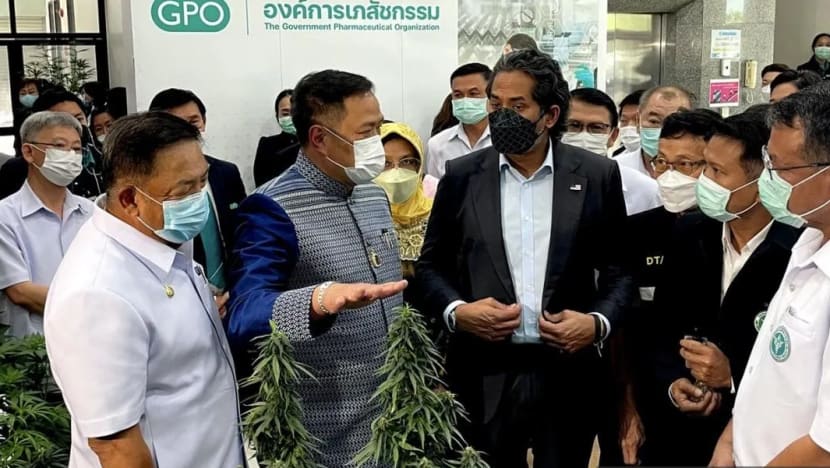 Khairy Jamaluddin beri jaminan kerajaan M'sia haramkan ganja bagi tujuan rekreasi Khairy Jamaluddin beri jaminan kerajaan M'sia haramkan ganja bagi tujuan rekreasi