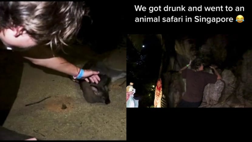 Police report made after youths claim to enter Night Safari past opening hours