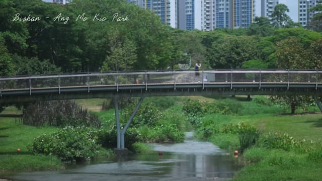 国务资政李显龙世界水日贴文：应节约用水