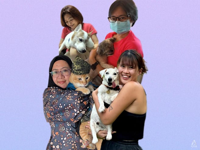 These women give blind, ageing and terminally ill pets a home – when no one else will