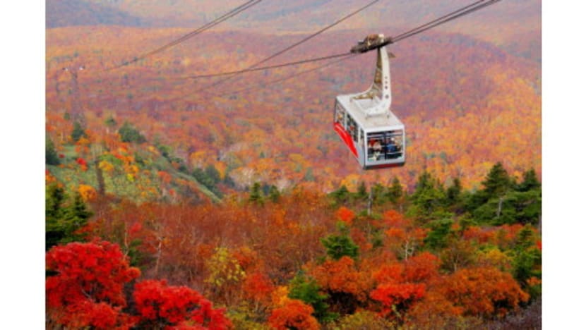 Autumn Foliage Journey in Tohoku, Japan: Must-See Scenic Spots to Visit in October Autumn Foliage Journey in Tohoku, Japan: Must-See Scenic Spots to Visit in October