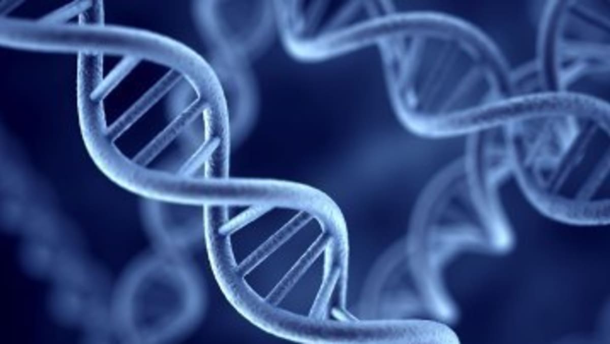 Scientists create first life form with artificial DNA - TODAY