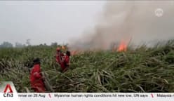 Indonesia sanctions six firms over forest fires in Kalimantan