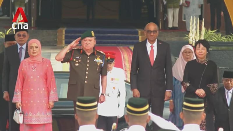 Singapore and Malaysia reaffirm ties, welcome 'good progress' on key projects 