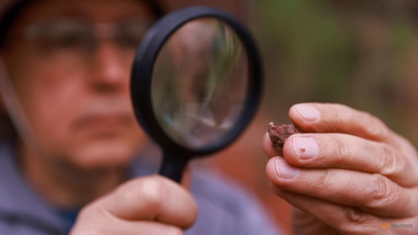 Brazilian physician hails love of paleontology that led to major ancient reptile discovery