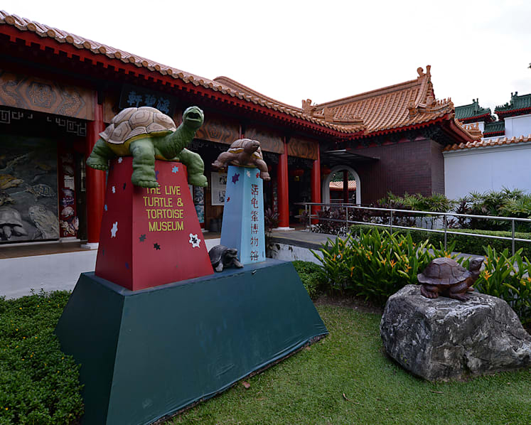 Second wind for Live Turtle and Tortoise Museum at Chinese Gardens?