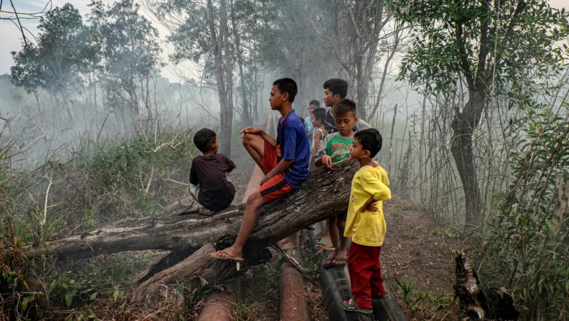 Nearly 60% drop in fire hotspots this year compared to 2023: Indonesian official Nearly 60% drop in fire hotspots this year compared to 2023: Indonesian official