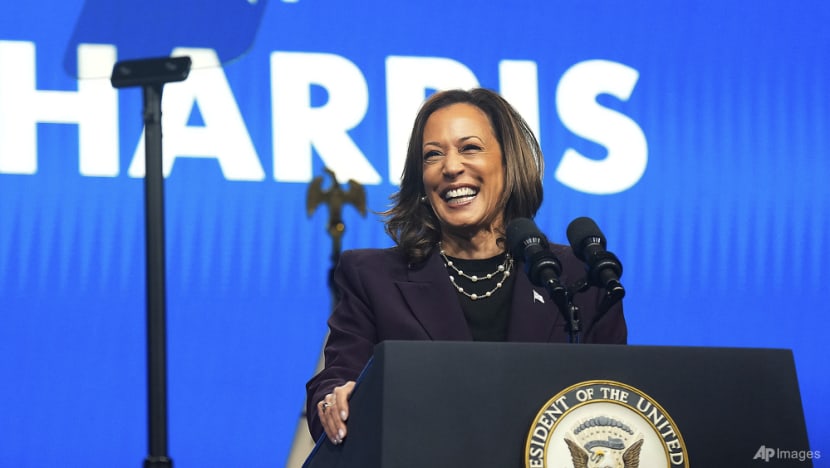 Harris likely to raise issues of immigration, economy at Democratic National Convention: Analysts Harris likely to raise issues of immigration, economy at Democratic National Convention: Analysts
