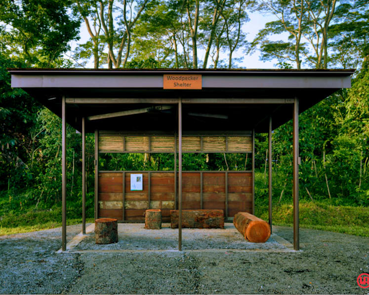Rich biodiversity on offer as Kranji Marshes open