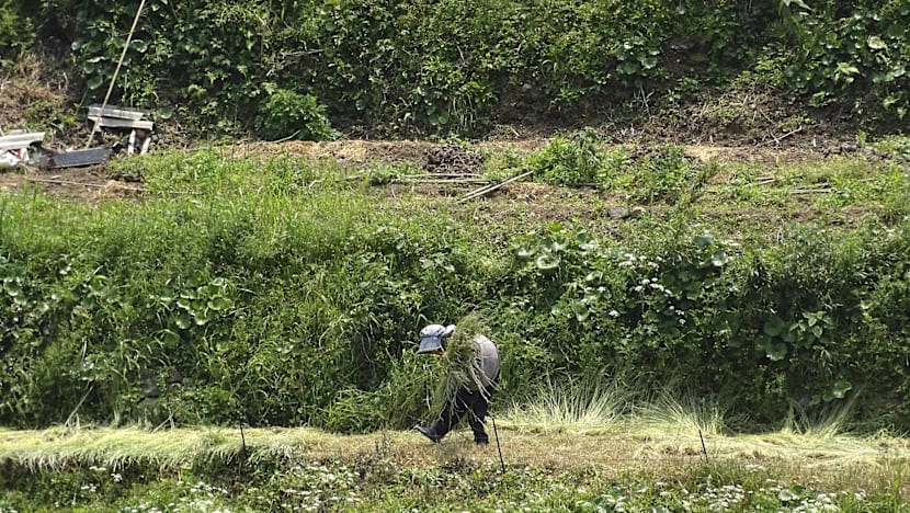 Costs, tight timeline among farmers' concerns over tender