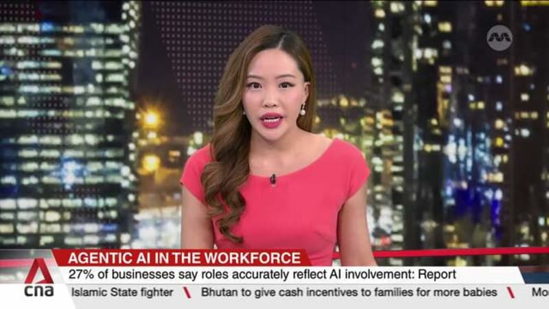 27% of businesses say roles accurately reflect AI involvement: Report