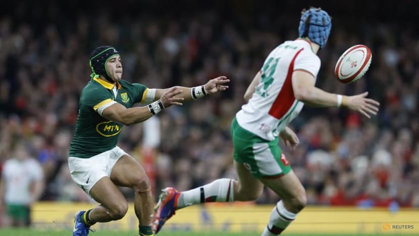 Springboks extend Wales's record losing run with 45-12 victory Springboks extend Wales's record losing run with 45-12 victory