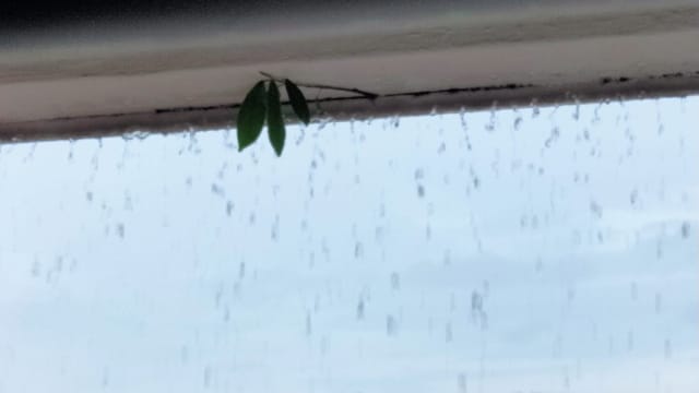 【笔耕园地】逆雨