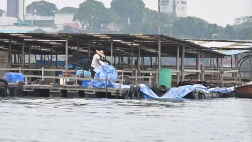 Ladang ikan SG pasang terpal sebagai langkah berjaga-jaga Ladang ikan SG pasang terpal sebagai langkah berjaga-jaga