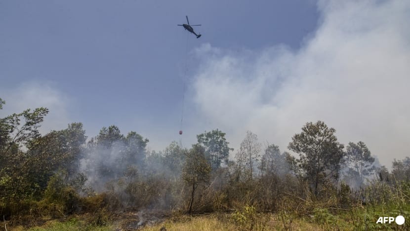 Indonesia doing 'everything' but still struggling to curb fires