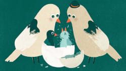 Related article image