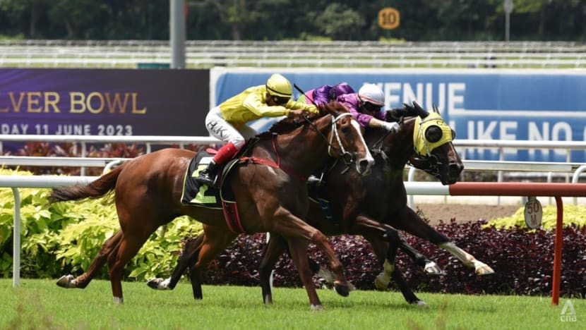 Some horse owners at Singapore Turf Club eye exit as early as August; closure may also affect Malaysia’s racing scene Some horse owners at Singapore Turf Club eye exit as early as August; closure may also affect Malaysia’s racing scene