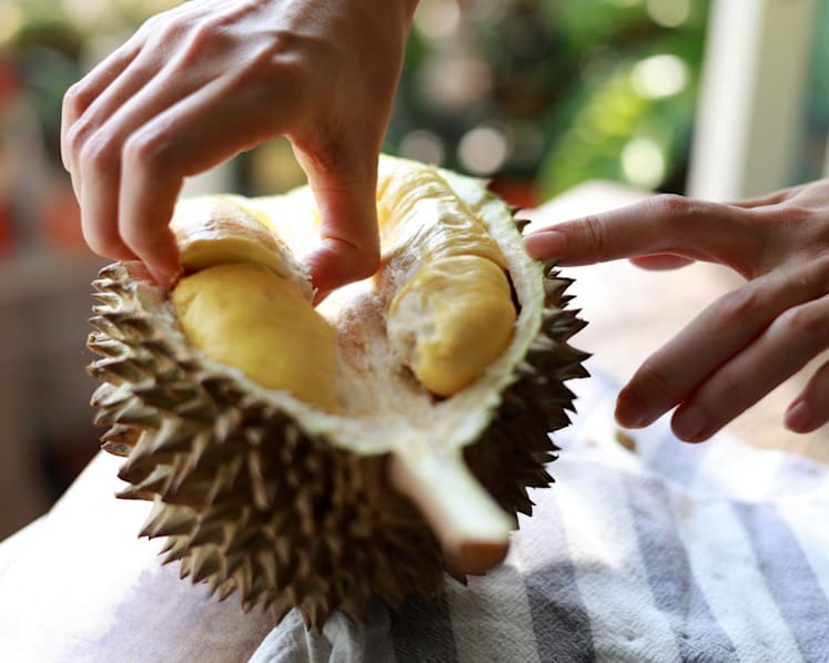 Durian seed chips or durian gel bandage? 7 things you didn’t know about your favourite smelly fruit