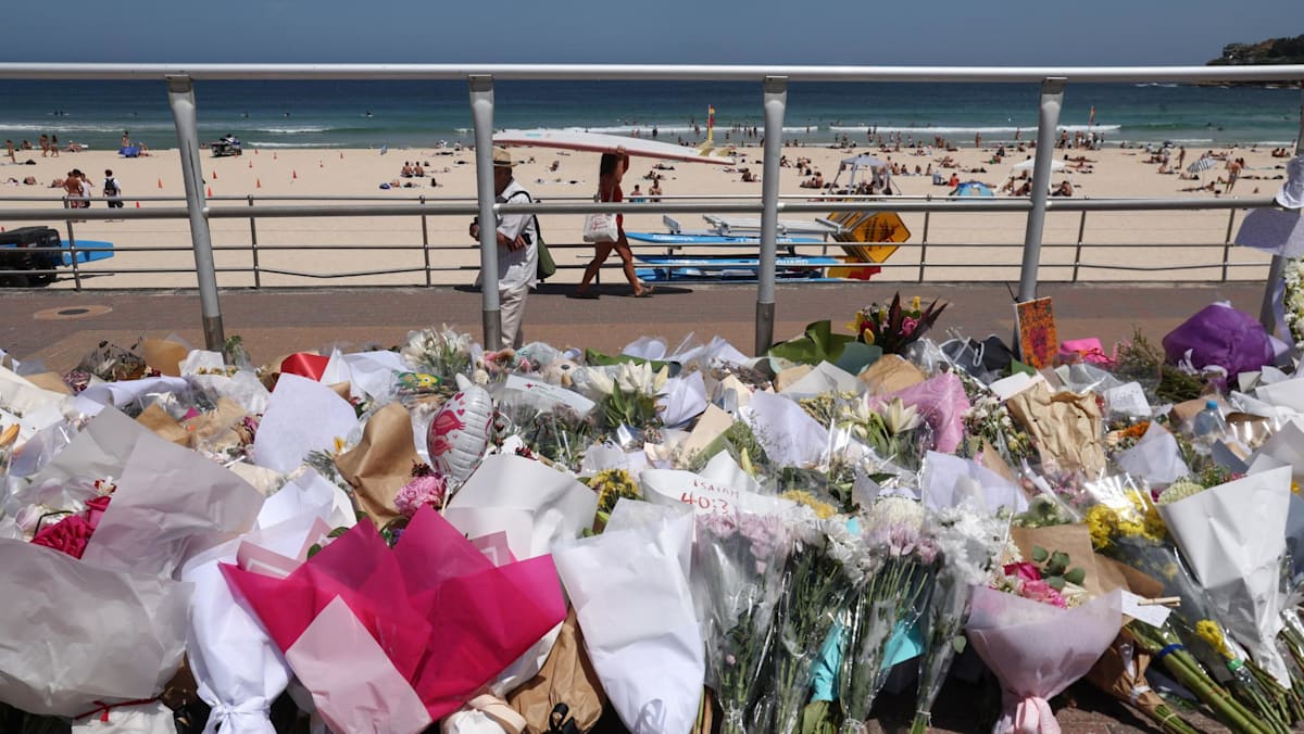Australia's capital to join gun buyback in response to Bondi Beach attack
