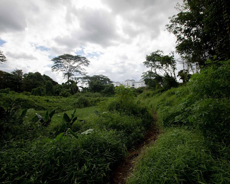 Not fallen on deaf ears: Nature lobbyists cheer LTA’s plans to relocate Cross Island Line MRT station to protect wildlife
