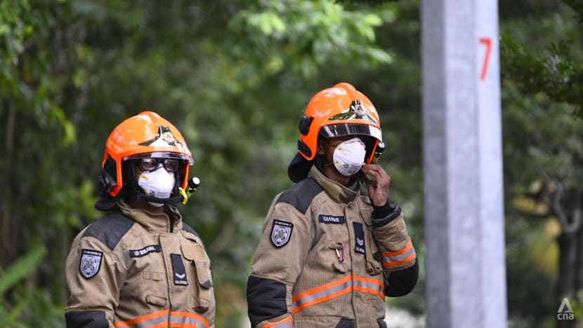 Two people taken to hospital after ammonia detected at Fishery Port Road compound
