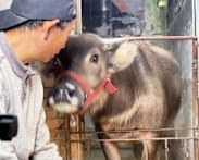 Second chances or glorifying crime? Ex-con influencers go viral in China amid controversy