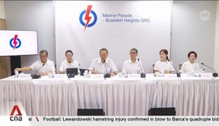 Manpower Minister Tan See Leng to helm PAP’s Marine Parade-Braddell Heights GRC slate