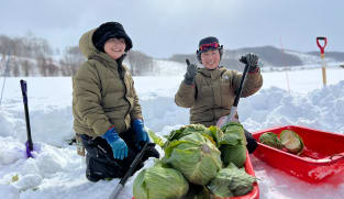 Escape the tourist crowd and discover the beauty of Furano in Hokkaido