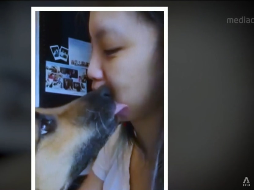 Meet Butter, a dog that can potentially save its diabetic owner's life