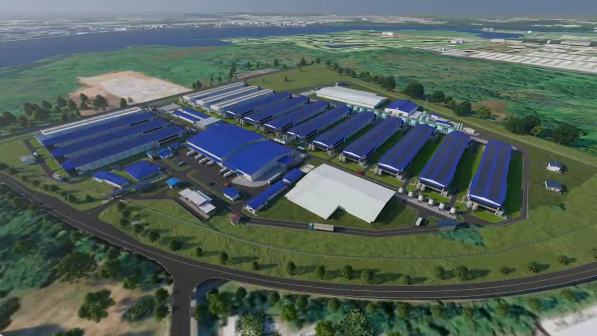 channelnewsasia.com - Koh Wan Ting - Construction begins for Singapore's long-delayed fourth egg farm