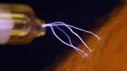 Related article image